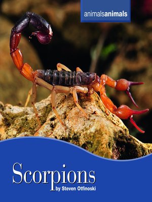 cover image of Scorpions